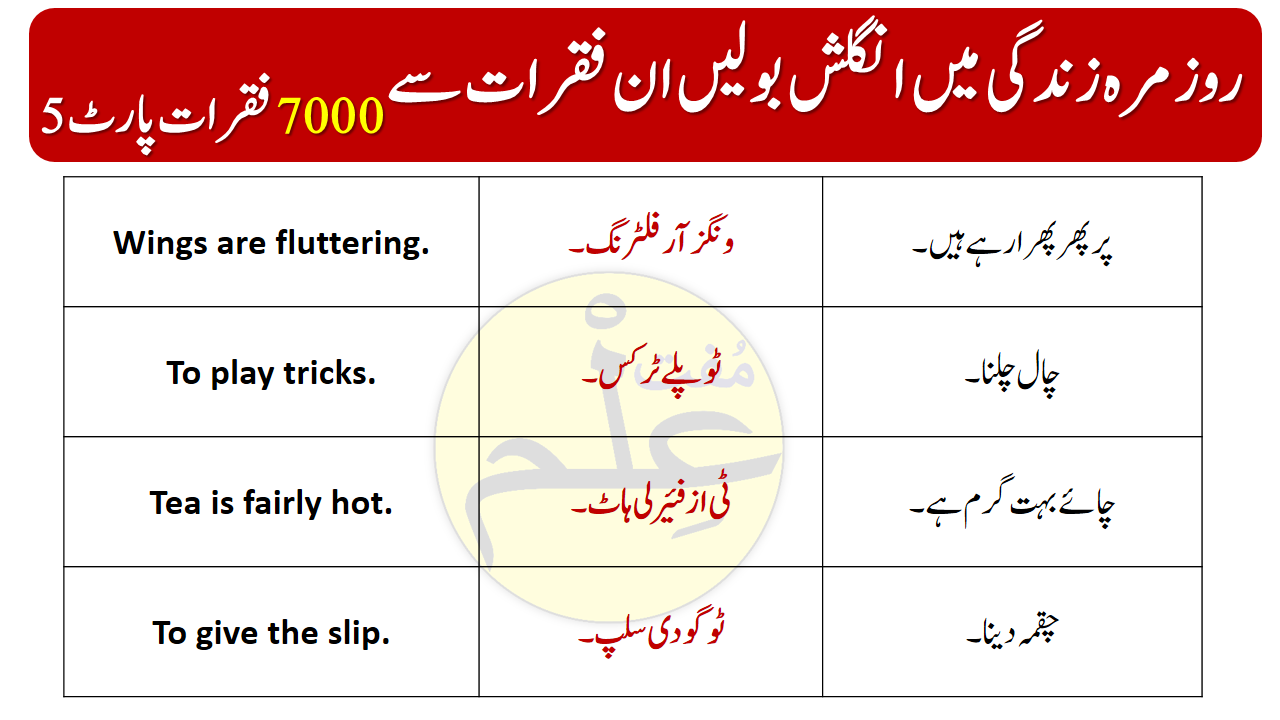 daily-use-english-sentences-in-urdu-part-5-muftilm