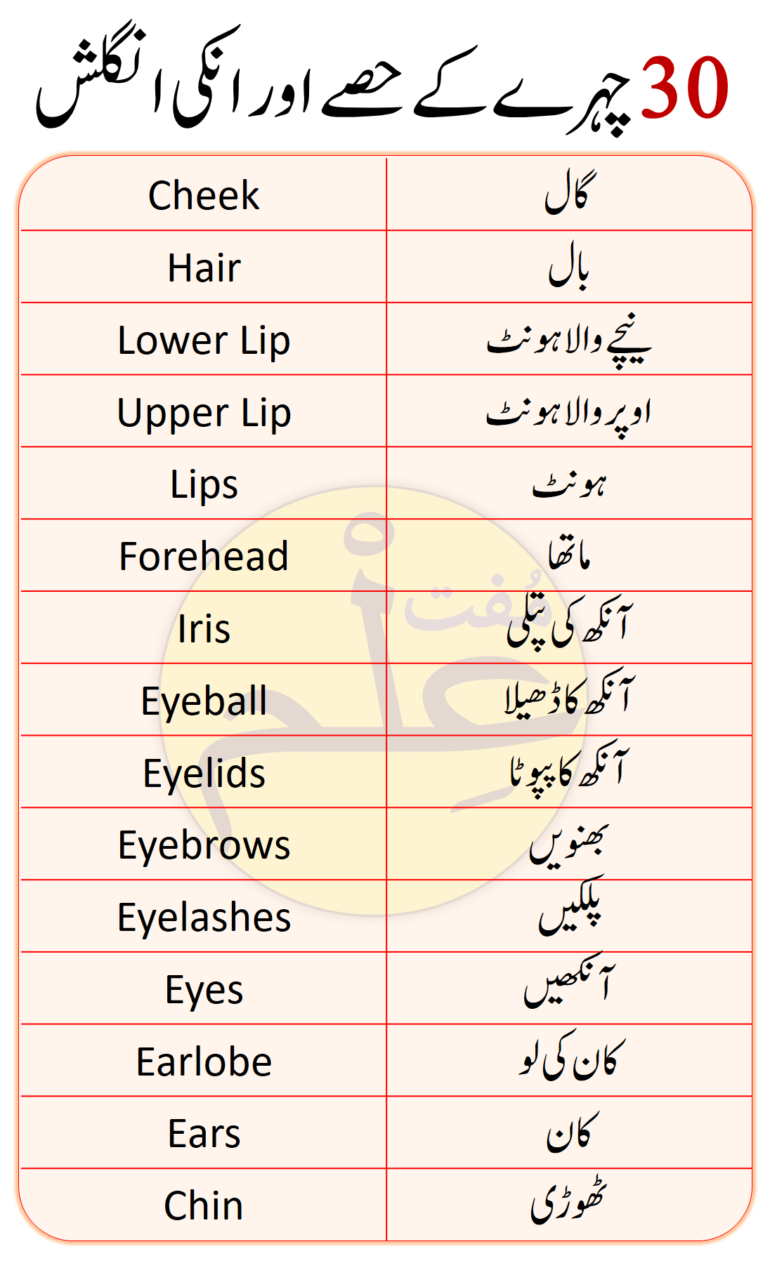 Parts Of Face In English And Urdu Muftilm   Slide2 Min 6 